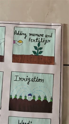 Activity - Steps Of Agriculture ✨