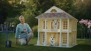 BEHR Paint TV Spot, 'Today Let's Paint: $39.98'