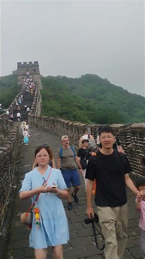 Funky Elvis Great Walk Pink Floyd