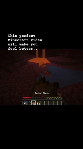 I think this make u feel way better…￼#minecraft #nether #meme