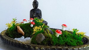 21K views · 465 reactions | Moss growing indoor Moss/Indoor moss...