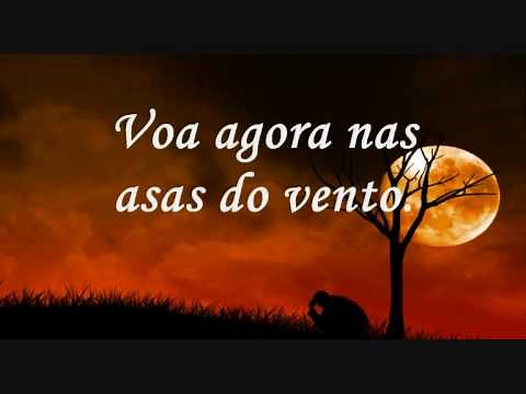 Elias Silva - Livre para voar