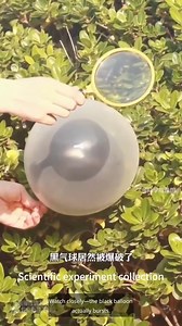 Scientific experiment collection 3 #education #science #scienceismagic #physics #chemistry #experiment | Test And Tutor