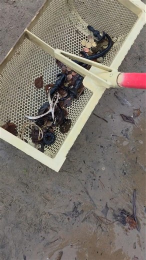 Beach cleanup to remove litter and various debris #shorts