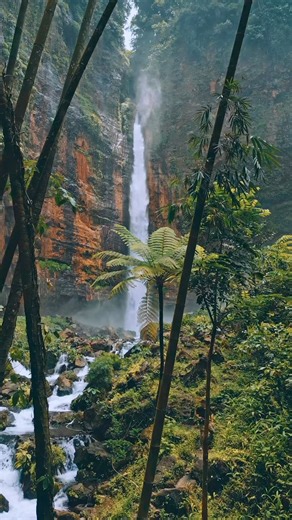 28 reactions · 85 comments | ISLA DE JAVA INDONESIA MAYO 2025 | Echolatino Viajes | Facebook