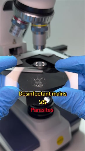 Désinfectant mains VS parasites! #microscope #experience #comprendre #microscopetiktok #bacterie