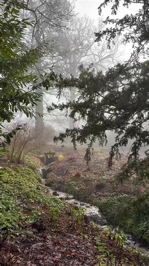 Today we embraced a moment of stillness, a much-appreciated break from the rain. Meanwhile, over 160 snowdrop varieties thrive in damp conditions across the estate - have you spotted many snowdrops yet? | Chatsworth House