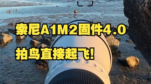 索尼a1m2在更新4.0版本固件后性能得到了极大的提升，拍鸟更加如鱼得水！