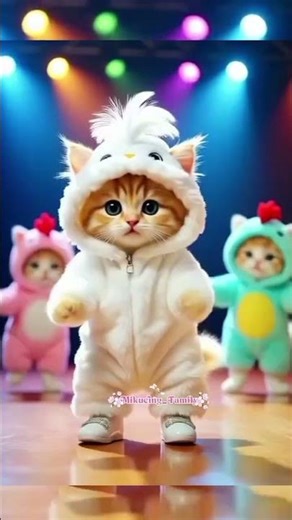 Kucing Joget Cicak-Cicak di Dinding 🐱🎶 Kucing Lucu Menari Gemoy Viral! #kucinglucu #kitten #catdance