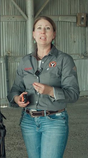How To Correctly Measure a Saddle Gullet #CircleY #saddle #horseriding