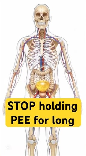 What Happens When You REALLY Hold Your Pee For TOO Long? #wellnessforlife #healtune