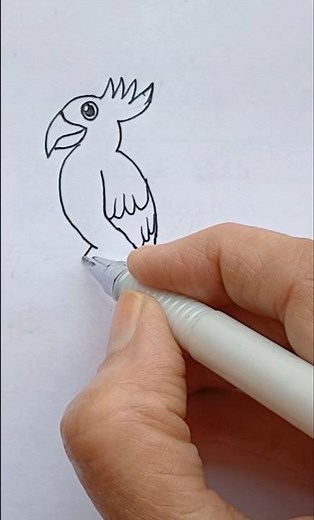 Draw a macaw step by step #pencildrawing #easydrawing #shortsyoutube