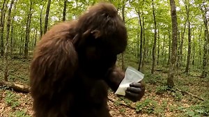 Bigfoot Tucker tries that booger candy #Outdoors #vlogger #Vlog #bigfoot #bigfootisreal #sasquatch #fyp | Yowie
