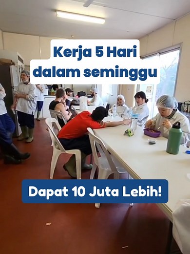 Pekerjaan di Meat Factory untuk WHV Holder di Australia