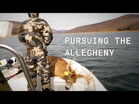 Deer Hunting the Allegheny National Forest Film - PA, Public Land