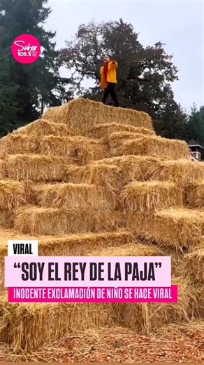 El Rey de la paja 😁😅😂 #paratiiiiiiiiiiiiiiiiiiiiiiiiiiiiiii #gracioso #flypシ #funny #destacame