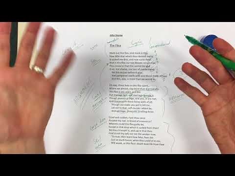 The Flea - Metaphysical poetry 1