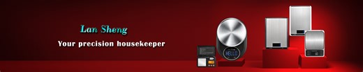 Lan sheng  Electronic Technology Co., Ltd