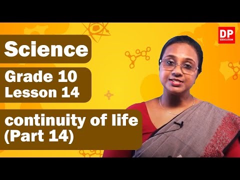 Lesson 14 - continuity of life (Part 14) | Grade 10 Science in English Unit 14 Part 14