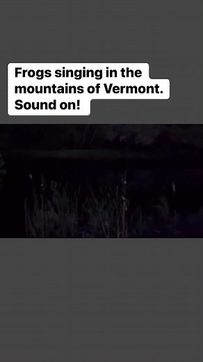 The spring peepers we’re deafening the other night! 📷: Heidi Albright in Roxbury, Vermont #therealvermont #Vermont #vt #frogs #peepers #wildlife #soundon #pond #vermontlife #vermontsummer #vermontbyvermonters | The Real Vermont