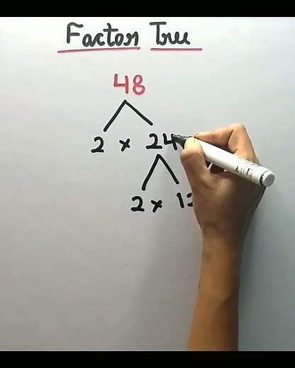 Factor tree of 48 | factor tree method #shorts #maths #primefactorization