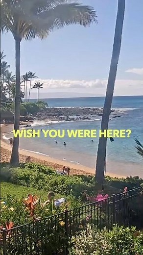 Maui Sunset Beach Front Resort | Maui Beach Cam #travel #hawaiianbeach #beachcam