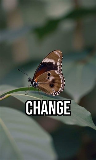 Butterfly’s Vanishing Act | Nature’s Optical Illusion Explained