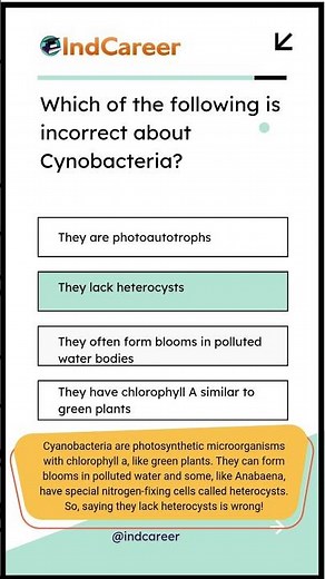 Cyanobacteria Facts You Must Know! 🌊🦠 | Heterocysts Explained