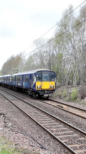 Scotrail Class 318 & 320 Glasgow Central to Wishaw passing Holytown #scotrail #class318 #class320