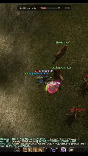 METKI W LESIE ODDAJA - PROJEKT HARD