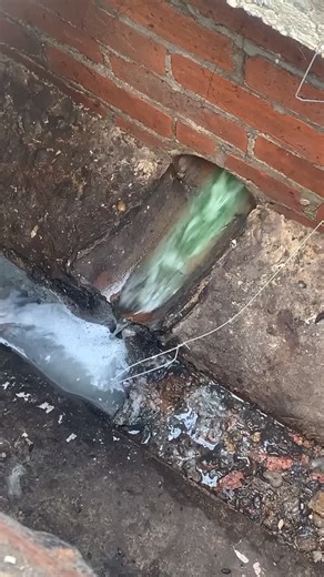 Dye test to find correct drainage for property 🐀