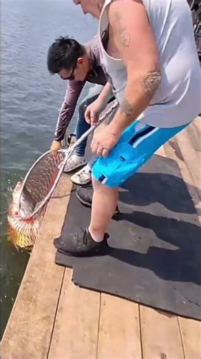 Giant Fish Caught: The String Tells the Story! #shorts