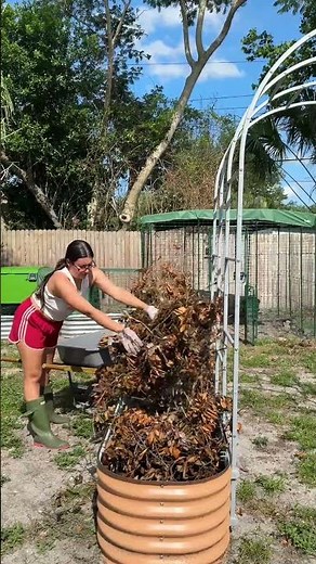 budget friendly way to fill raised garden beds