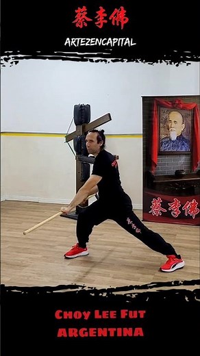 💥Choy Lee Fut Kung Fu Argentina | Belgrano