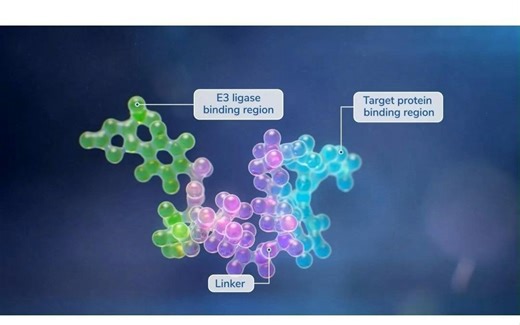 Protac靶向蛋白质降解类药物专题解析