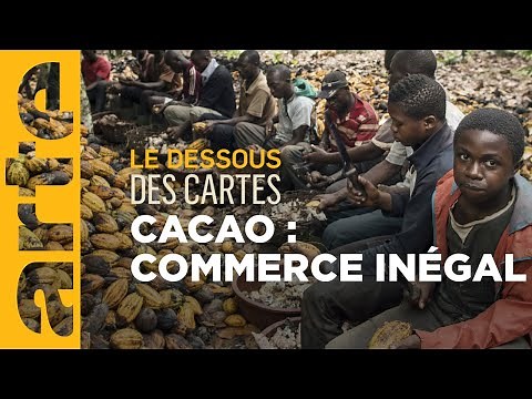 Cocoa: Who benefits from chocolate? - Behind the scenes | ARTE