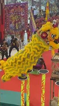 1st Invitational National Culture Acrobatic Lion Dance Championship 2025 - Kwong Ngai KL Highlights