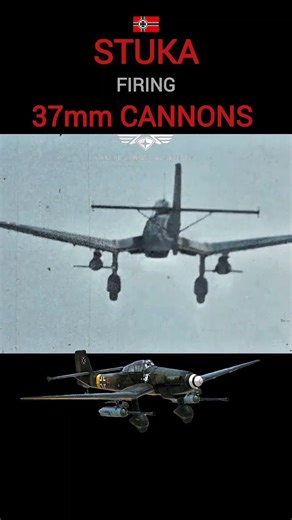 Ju-87G Stuka "Kanonenvogel" (Cannon Bird) engaging Soviet riverine transport with its two 37mm cannons in the Summer of 1943 | World War Aviation