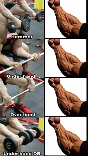 “Best Forearm Workout Variations 🔥 Build Massive Forearms & Grip Strength Fast”#shorts #fitness