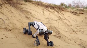 A four-wheel-legged robotic dog was unveiled at the World Artificial Intelligence Conference in Shanghai. It is capable of adapting to a multitude of terrain, including grass, sand and forest trails | Reuters