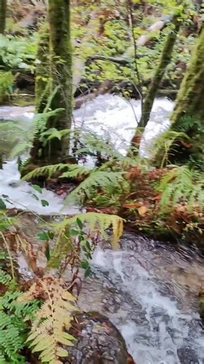 dois ribeiros que se unem Município de Arouca Arouca Geopark | cabradomonte.trail