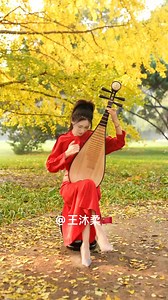 6.9K views · 642 reactions | This is a traditional Chinese musical instrument -- Pipa(琵琶）这是中国传统乐器——琵琶 #中国乐器 #中国传统乐器 #琵琶 #Chinese Hanfu #ChineseMusicalInstruments #TraditionalChineseMusicalInstruments #Pipa | Love.Chinese.music | Facebook