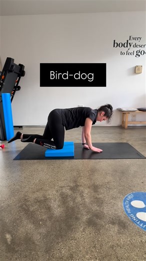 Take your bird dog (Superman/superhuman) to the next level by balancing on a pillow! This adds instability, forcing your core and deep spinal stabilisers to work even harder. Perfect for building strength and control - right from home! Try it: 1️⃣ Set up on a pillow instead of the floor 2️⃣ Extend opposite arm leg 3️⃣ Keep hips square & core engaged 4️⃣ Slow and controlled reps for max benefit #staytunedsportsmedicine #staytuned #osteopathy #physiotherapy #massage #remedial #myotherapist #elwood