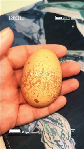 🤍all the various ways they come 😍cant wait to add different colors to my collection #erinmarie1023