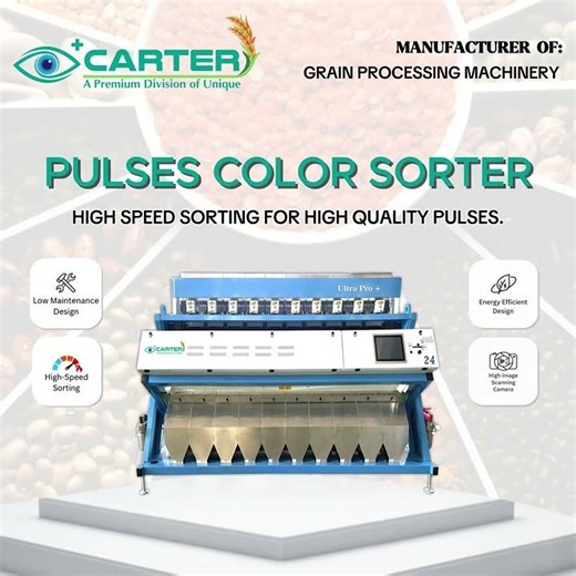 Best Pulses and Grains Color Sorter At Carter Unique Group