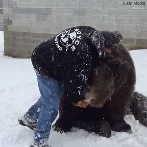 Now that’s what I call a bear hug! 🐻🐻 | Daily Mail US