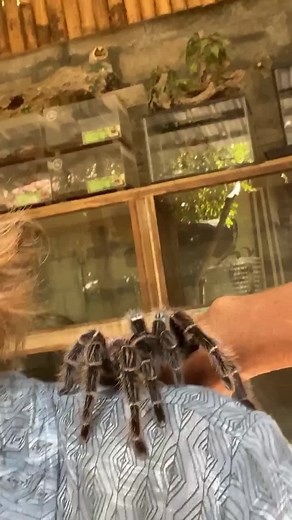 TikTok · Miller Wilson