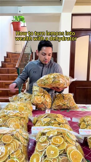 How to turn lemons into money using a dehydrator#lemon8 #lemon #mango #dryermachine #cassavadryer #foodprocessing #fypシ #tiktok