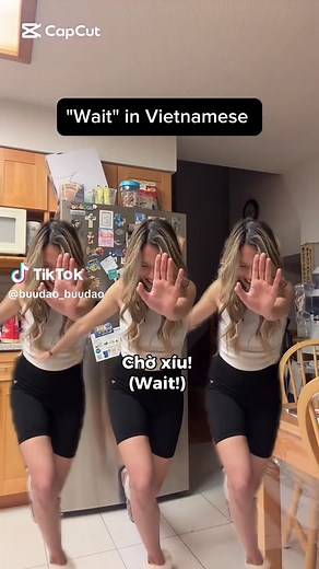 Learning Vietnamese: Wait in Other Languages