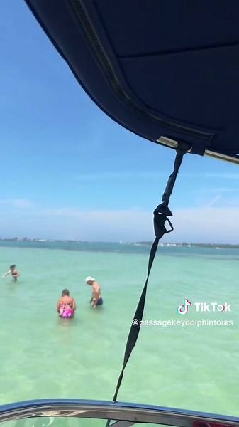 Exploring Jewfish Key Sandbar on Anna Maria Island